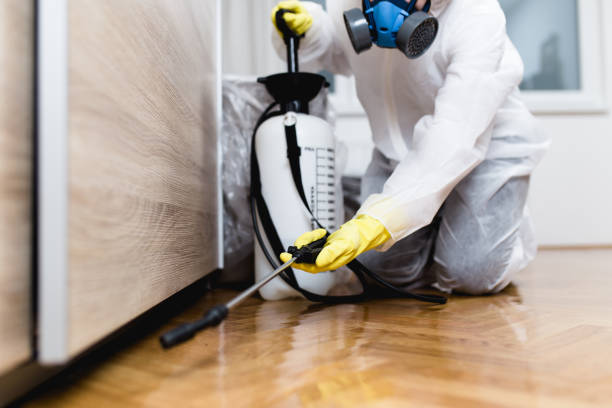 Best Wasp Removal Services  in Circle Pines, MN