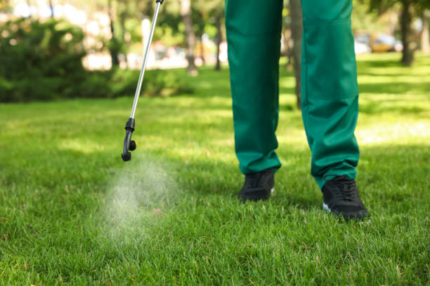 Best Local Pest Control Services  in Circle Pines, MN