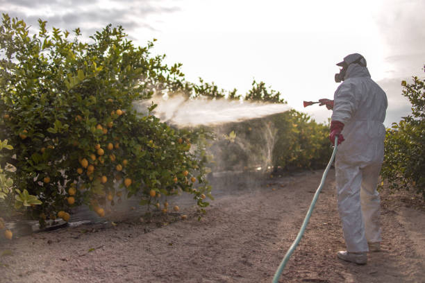 Best Pest Control Near Me in Circle Pines, MN
