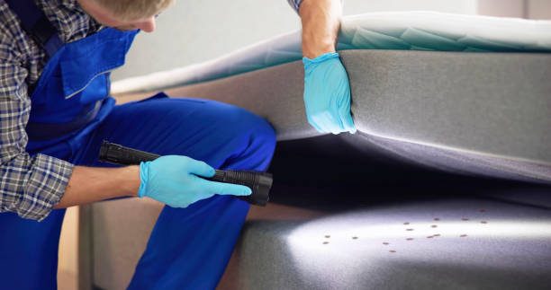 Best Pest Control Near Me  in Circle Pines, MN