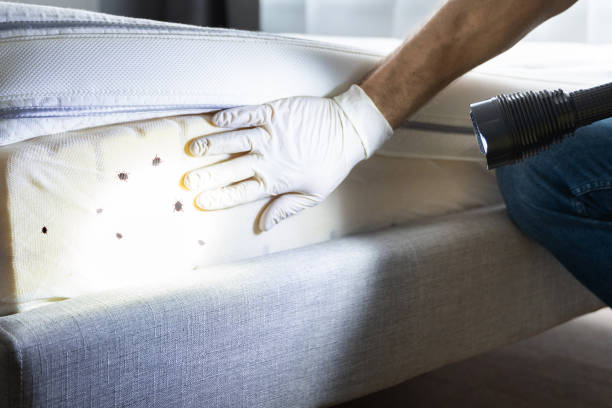 Best Exterminator Services  in Circle Pines, MN