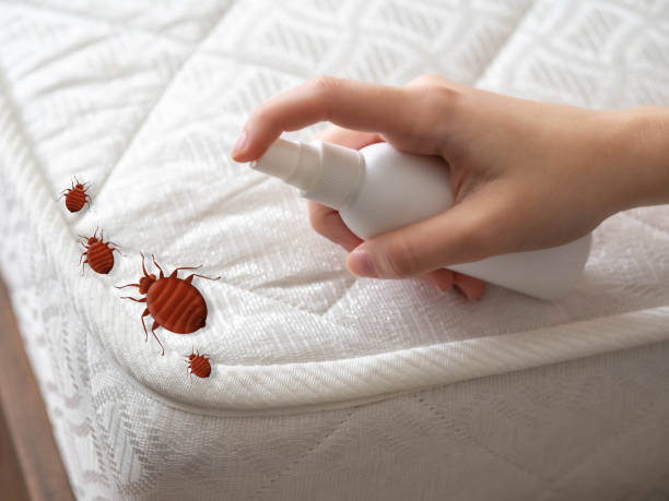 Best Emergency Pest Control  in Circle Pines, MN