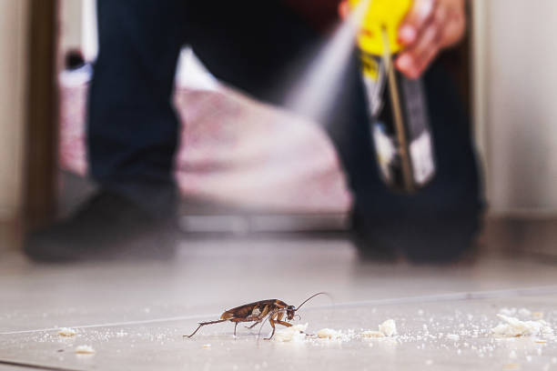 Best Cockroach Control Services  in Circle Pines, MN
