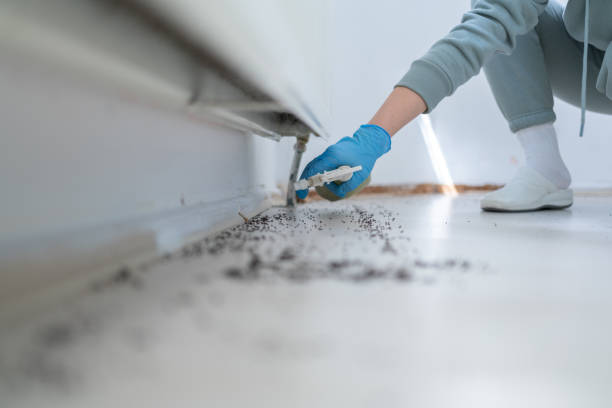Best Emergency Pest Control  in Circle Pines, MN